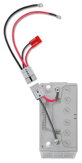 Camper Connection with Auxiliary Connector (RCE12VBM6K) Lithium Compatible