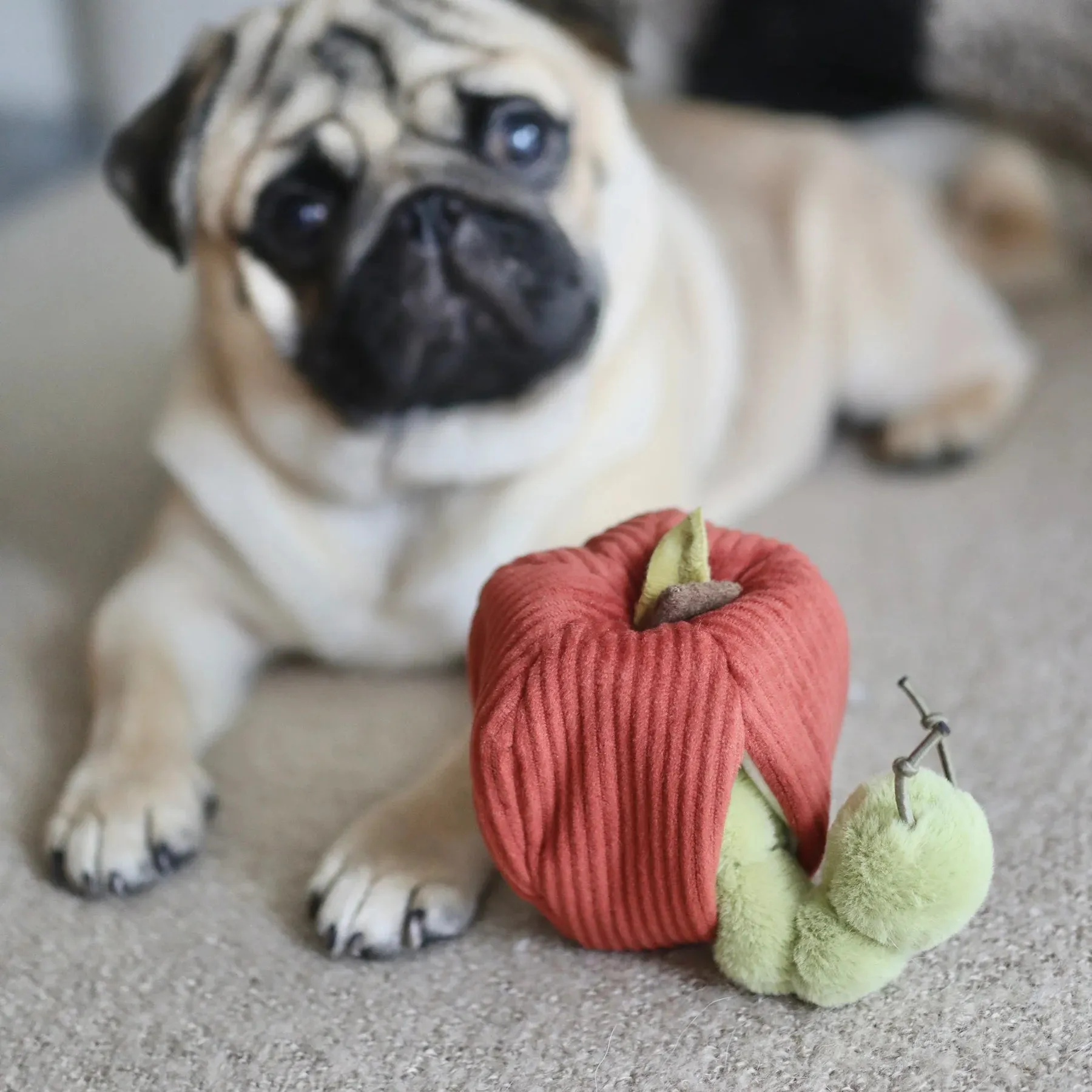 Lambwolf APPLE and CATERPILLAR with Crinkly and Burrow